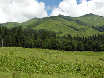 Similar image 426702