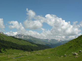 Similar image 426706