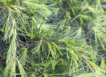 Similar image 426710