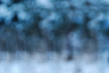 Similar image 426726