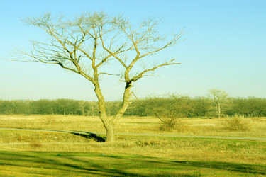 Similar image 426754