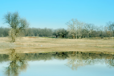 Similar image 426755