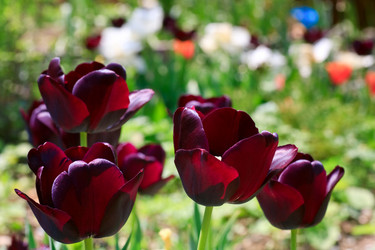 Similar image 426758