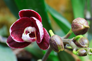 Similar image 426786