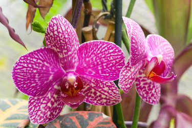 Similar image 426791