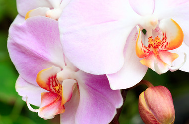 Similar image 426797