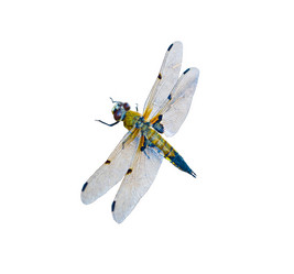 Similar image 426819