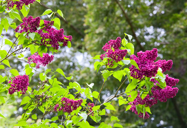 Similar image 426820