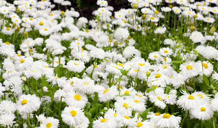 Similar image 426822