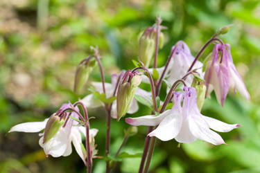 Similar image 426824