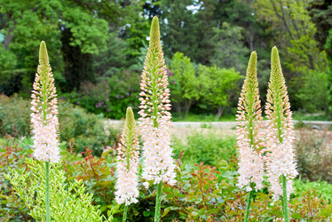 Similar image 426829