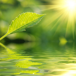 Similar image 426862