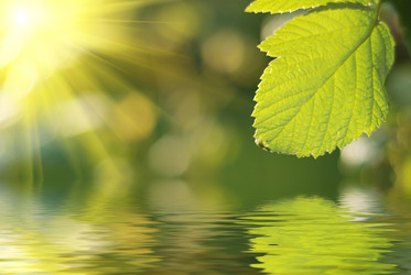 Similar image 426865