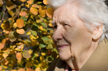 Similar image 426898