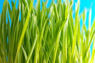 Similar image 427057