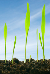 Similar image 427060