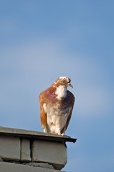 Similar image 427128