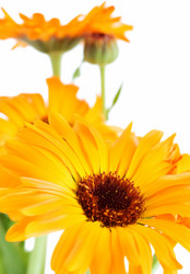 Similar image 427140