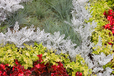 Similar image 427143