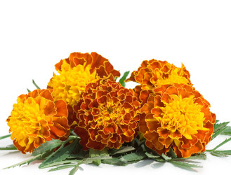 Similar image 427145