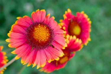 Similar image 427146