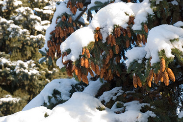 Similar image 427148