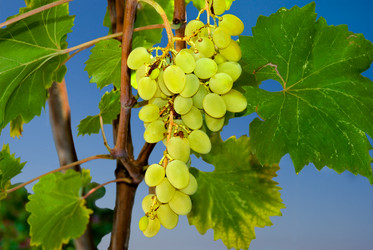 Similar image 427159