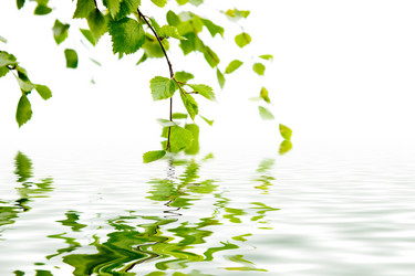 Similar image 427246