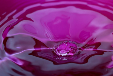 Similar image 427301