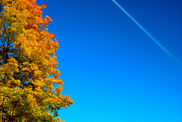 Similar image 427319