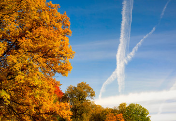 Similar image 427320