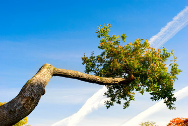 Similar image 427321