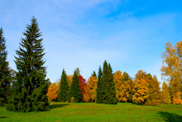 Similar image 427322