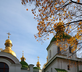 Similar image 427436