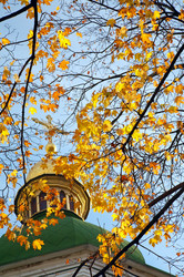 Similar image 427438