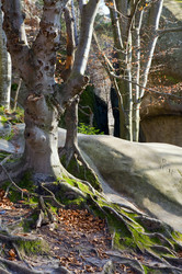 Similar image 427500