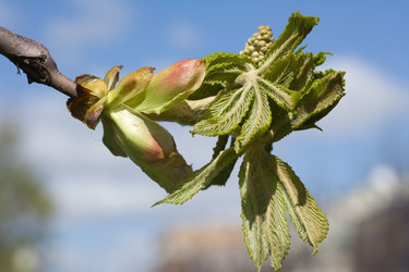 Similar image 427513