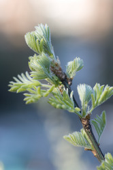 Similar image 427514