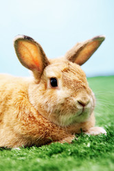 Similar image 427521