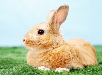 Similar image 427522