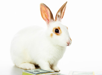 Similar image 427527