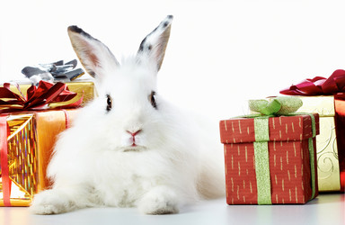 Similar image 427529