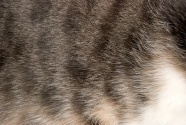 Similar image 427573