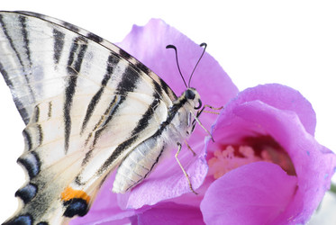 Similar image 427649