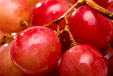 Similar image 427704