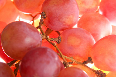 Similar image 427708