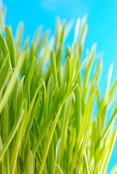 Similar image 427736