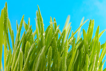 Similar image 427738