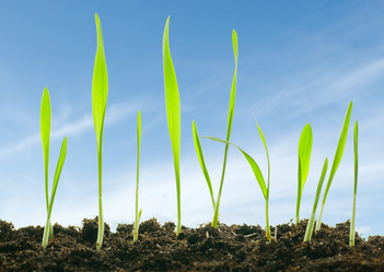 Similar image 427743