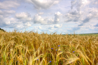 Similar image 427783